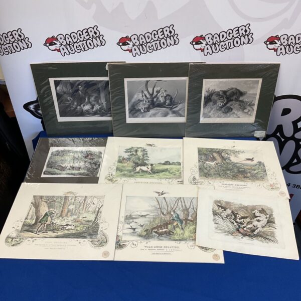 Vintage animal engravings and etchings depicting wildlife scenes.