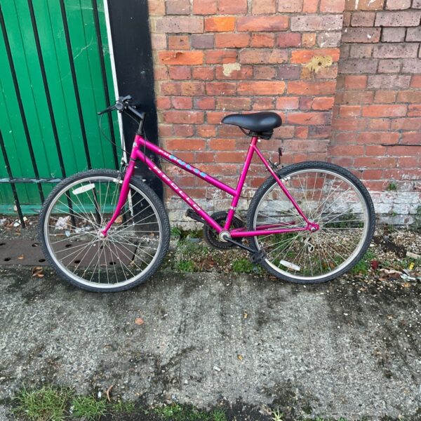Pink Apollo Pulse bike with black saddle leaning against a green door