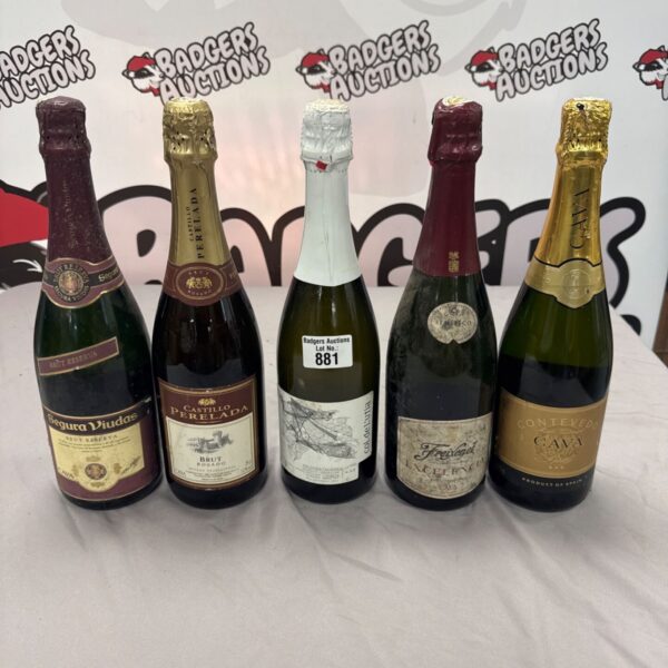 Assorted Cava and Brut sparkling wine bottles in a lot.