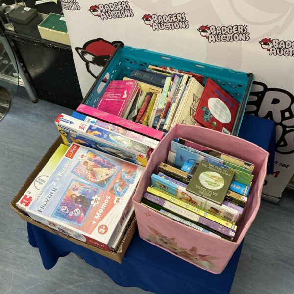 Mixed lot of children's books and puzzles for kids.