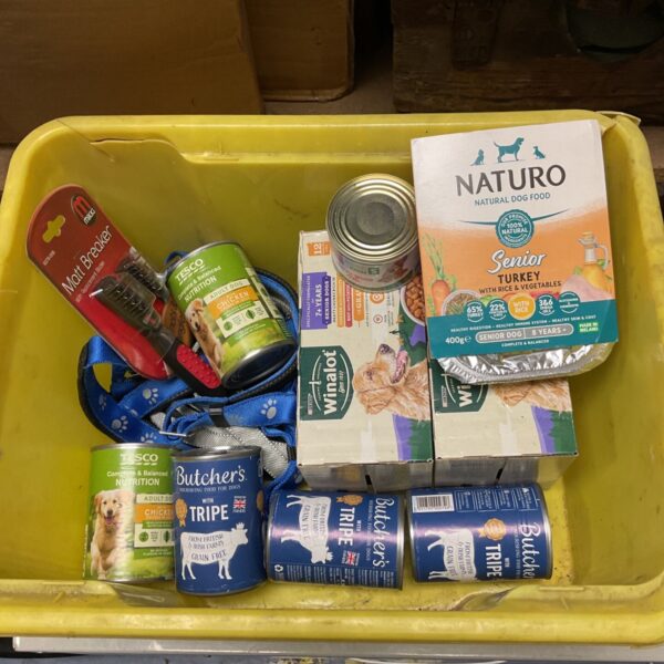 Lot of dog food tins and boxes with blue dog lead and Matt Breaker brush