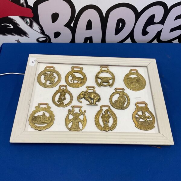 Framed antique horse brasses, a Victorian equestrian collectible.