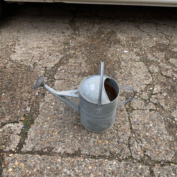 Vintage galvanised watering can for garden use.