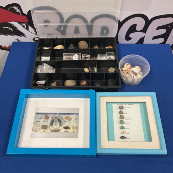 Mixed lot of gemstones and shells in a clear container.