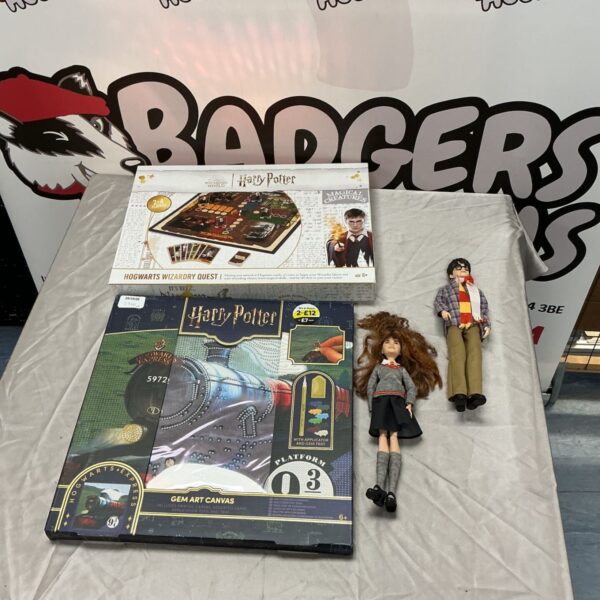Harry Potter and Hermione figures with Hogwarts Wizardry Quest game and Gem Art Canvas