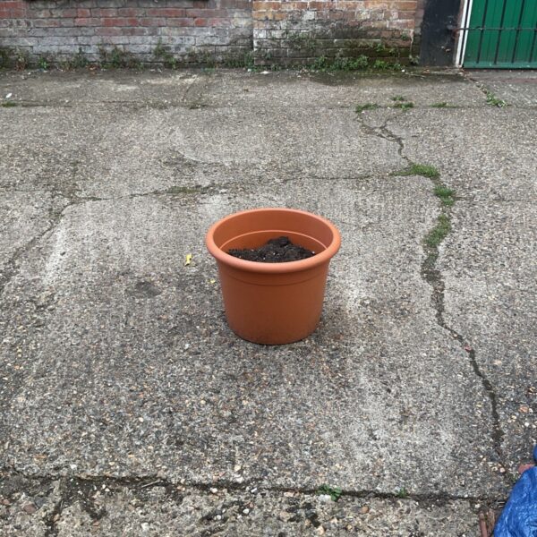 Large flower pot