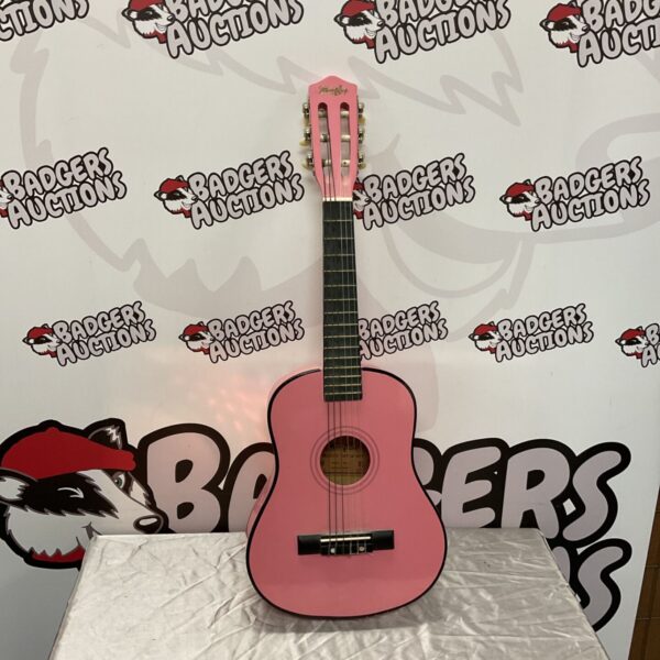 Pink music ally childs acoustic guitar