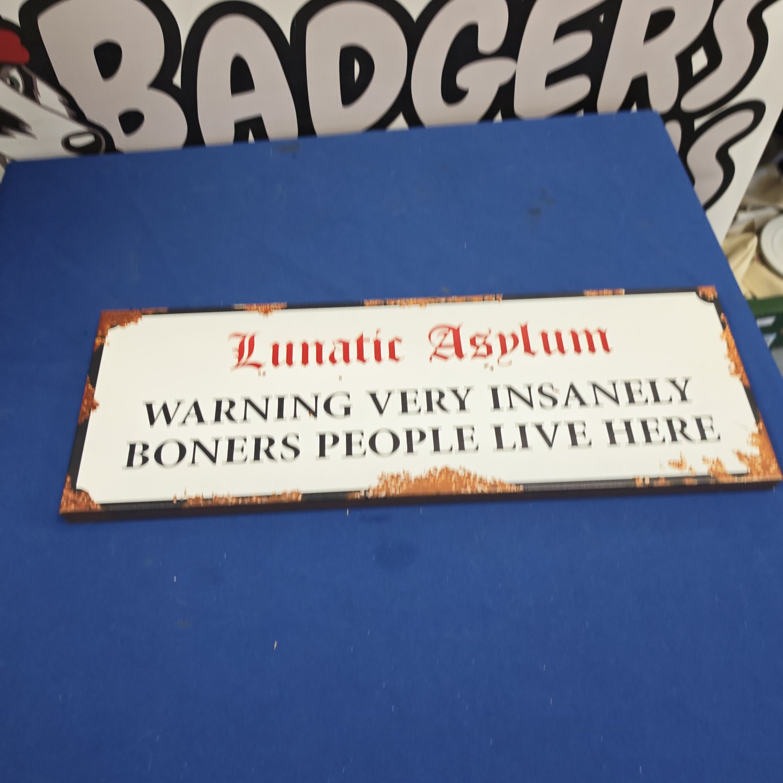 Lunatic Asylum novelty metal sign with distressed rust-effect border and humorous warning text