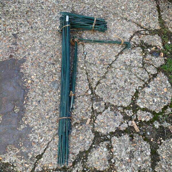 Metal bean trainer poles for supporting climbing plants in the garden.