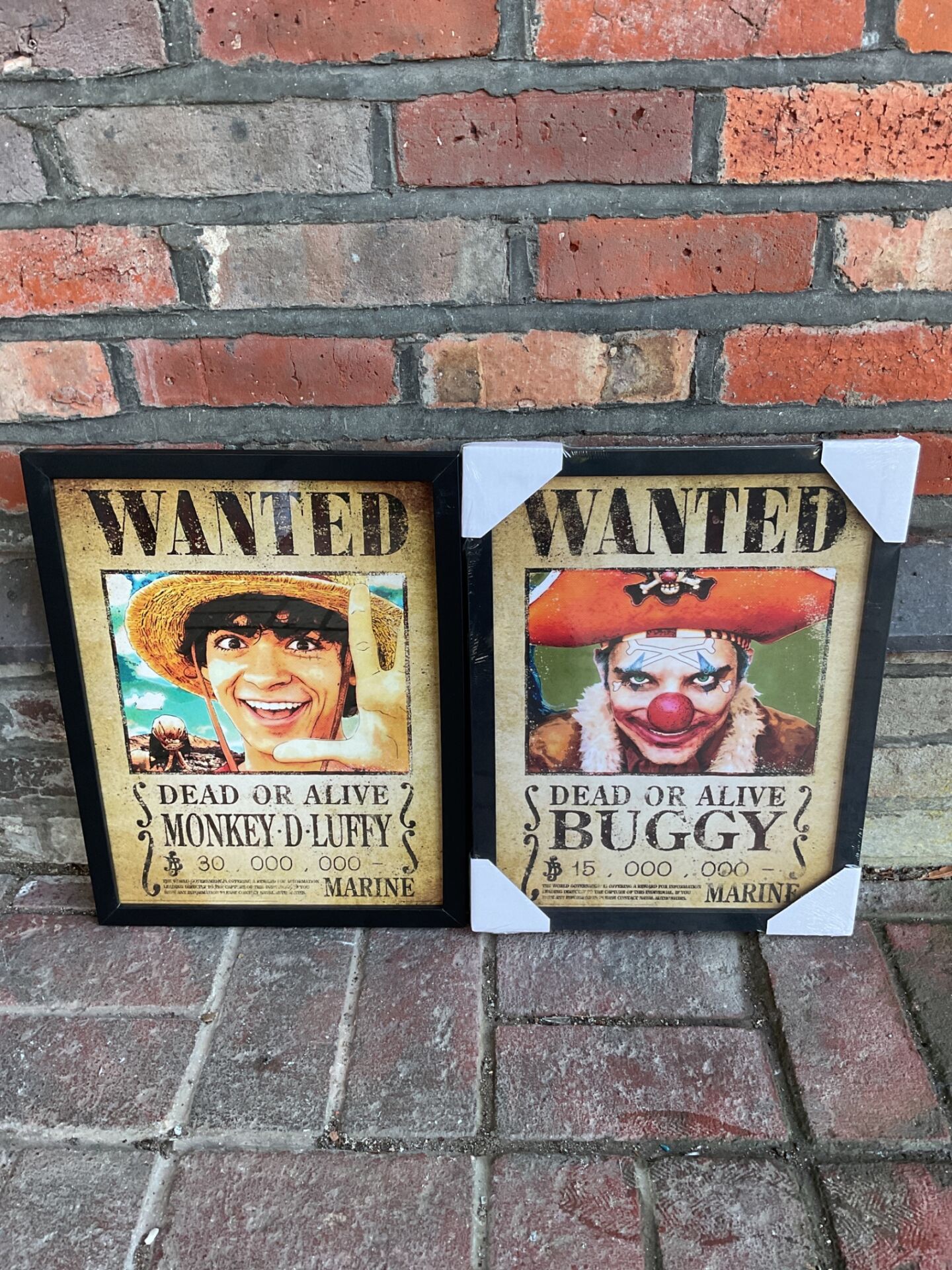 Framed One Piece Wanted Posters Luffy and Buggy | Pair