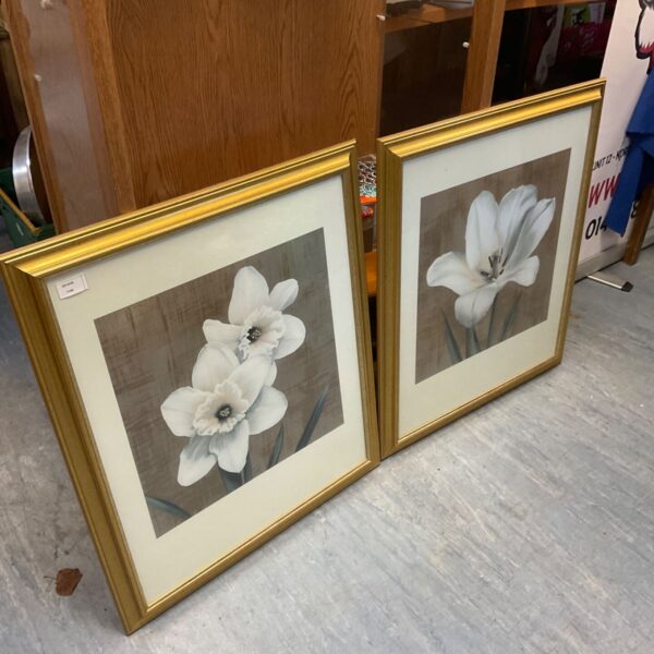 Pair of gold-framed white daffodil and tulip prints leaning against a wall