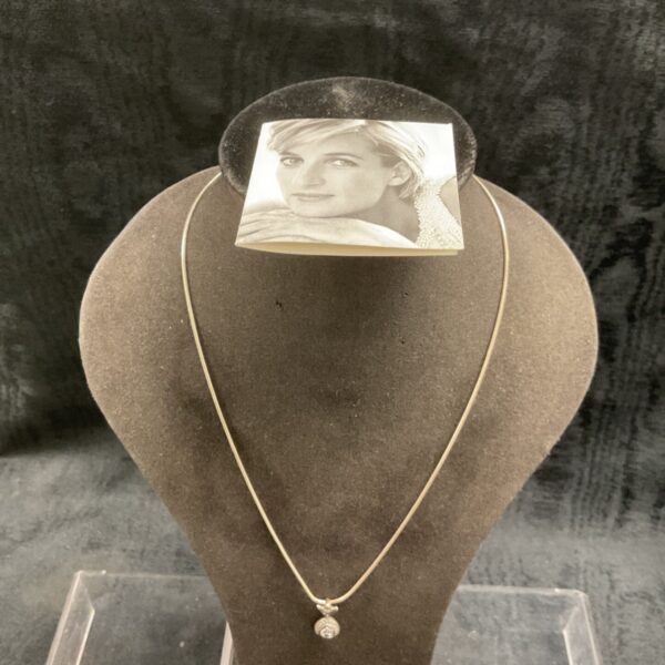 Princess Diana necklace on display with photograph.