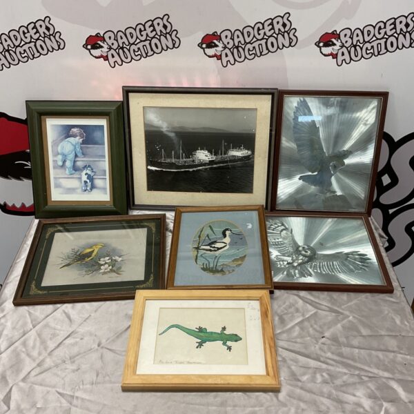Selection of seven small framed prints and artworks including gecko watercolour