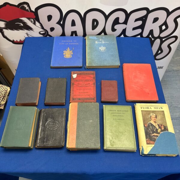 Selection of vintage books and small bibles on a blue table