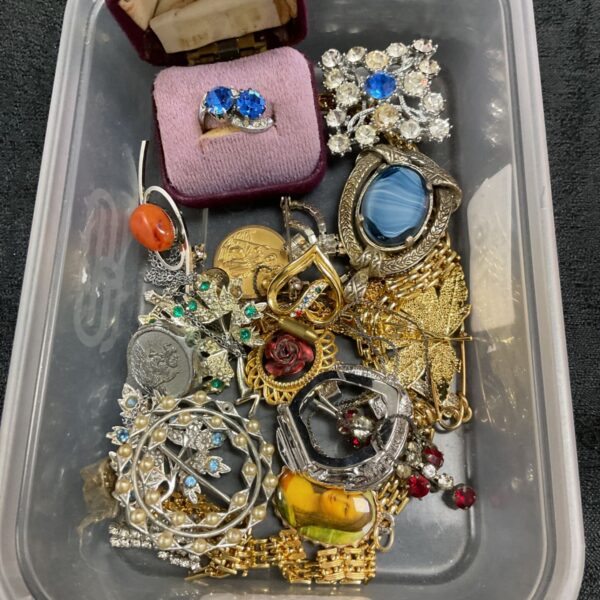 Vintage brooch and jewellery lot with assorted necklaces and rings.