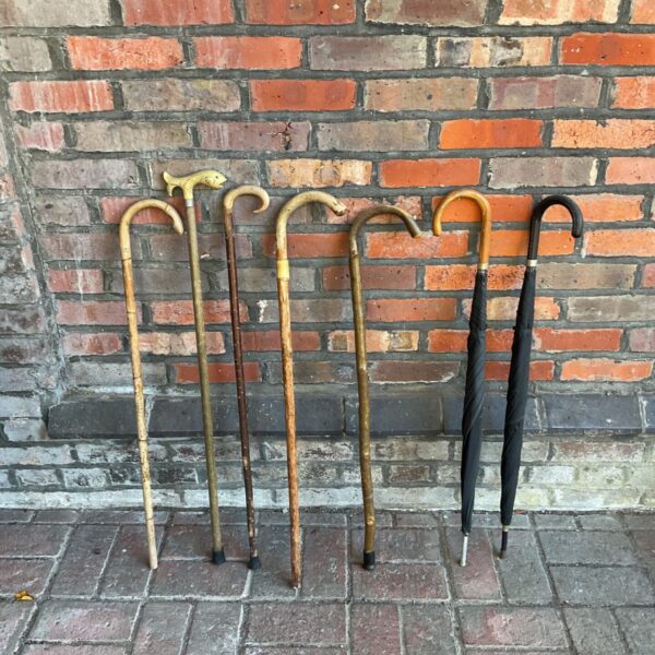 Group of vintage walking sticks and umbrellas against a brick wall.